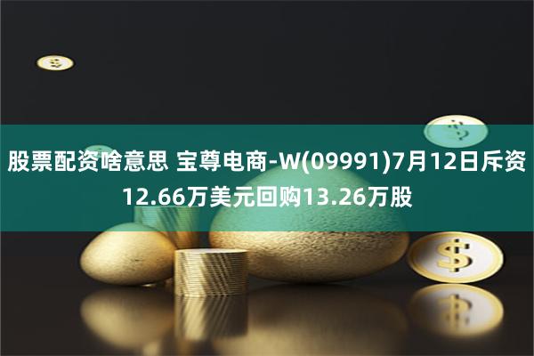 股票配资啥意思 宝尊电商-W(09991)7月12日斥资12.66万美元回购13.26万股