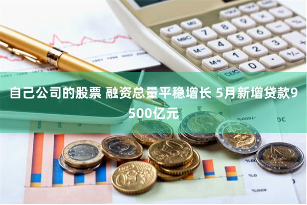 自己公司的股票 融资总量平稳增长 5月新增贷款9500亿元